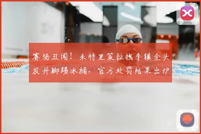 赛场丑闻！米特里策拉拽李镇全头发并脚踢冰桶，官方处罚结果出炉