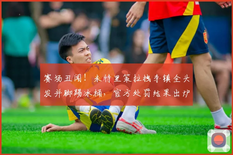 赛场丑闻!米特里策拉拽李镇全头发并脚踢冰桶,官方处罚结果出炉